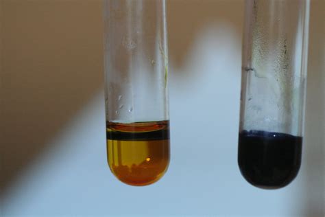 water iodine glucose starch permeability test|iodine and starch solution.